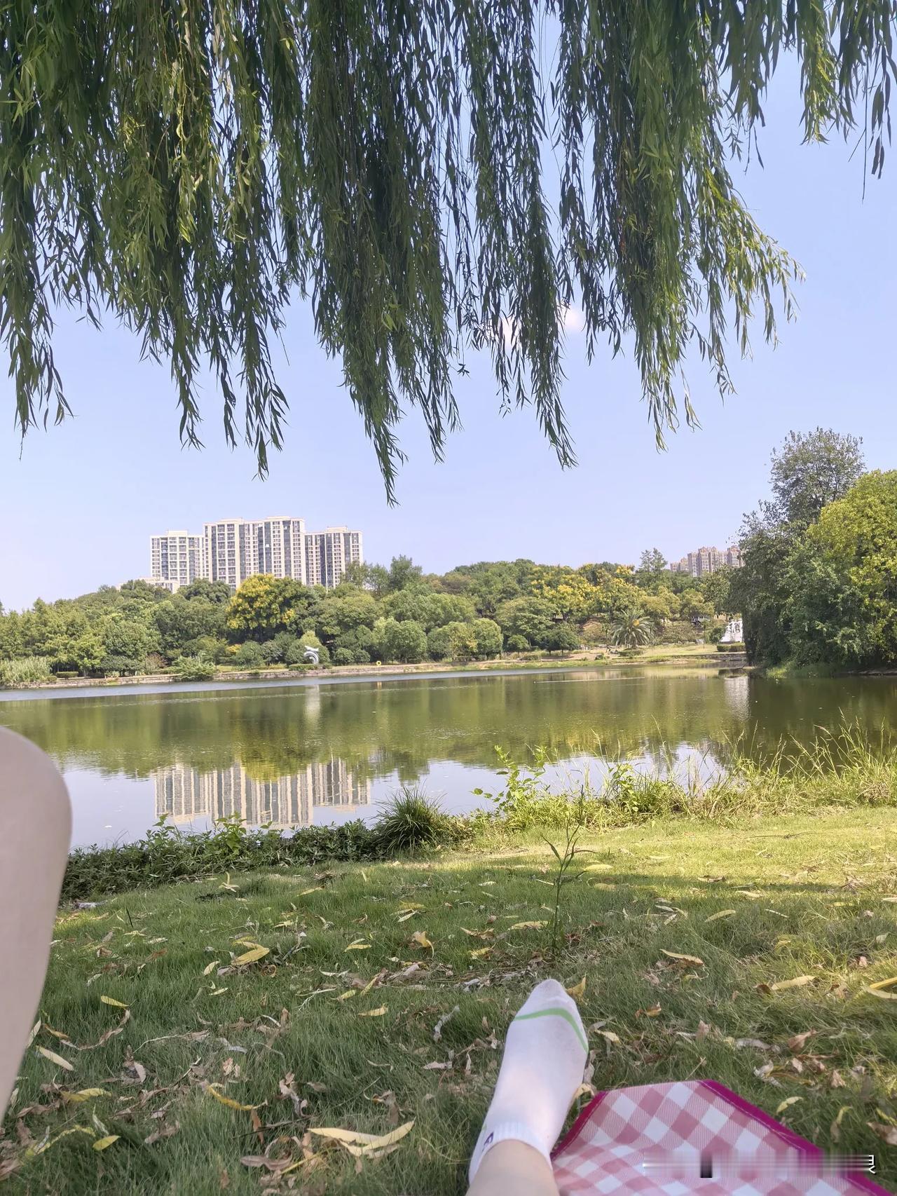 今天可把我吓得不轻，当然也有可能是自己吓自己


上午在公园的垂柳树下躺着睡觉，