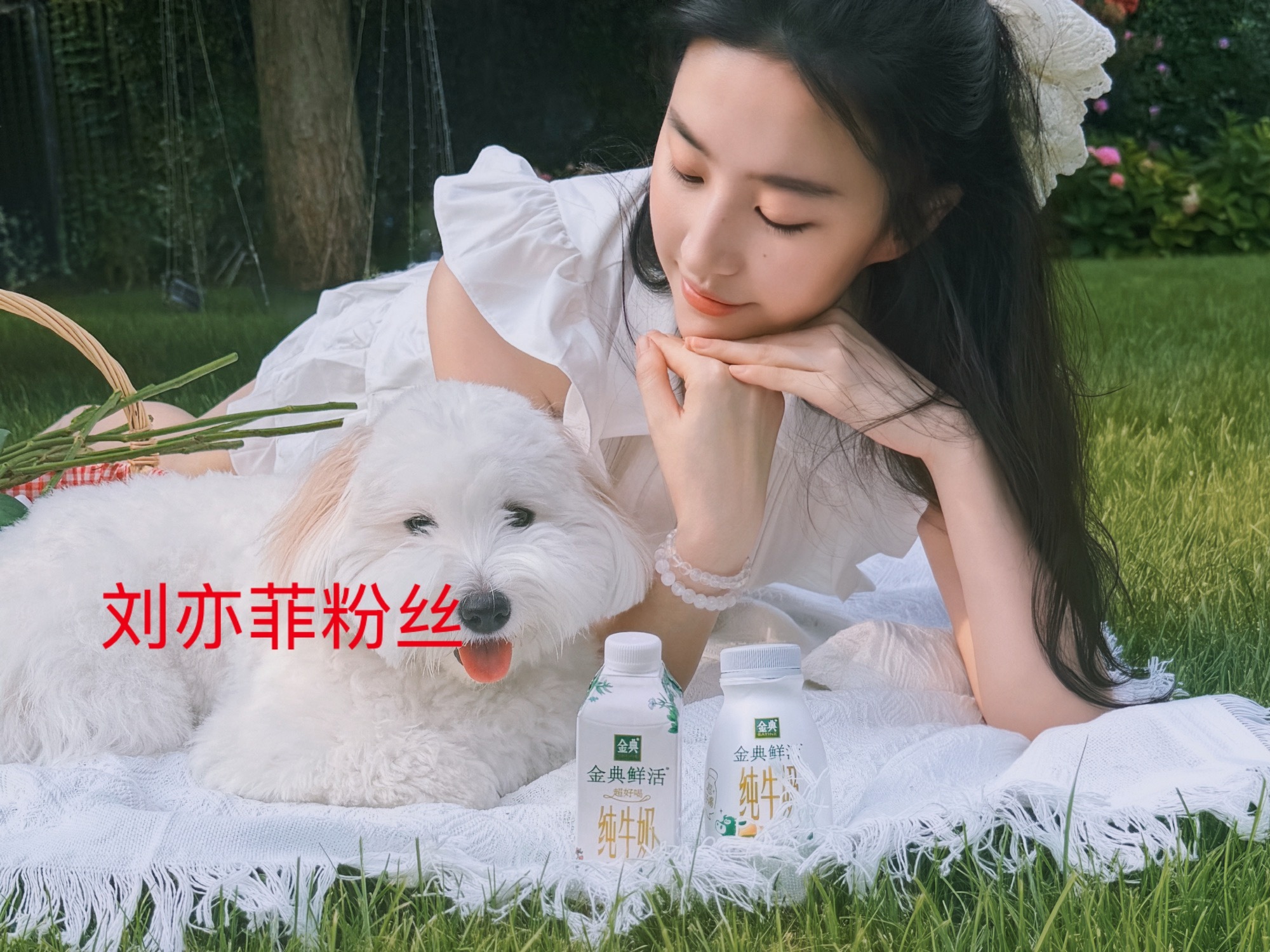 刘亦菲粉丝怎么了？嫉妒刘亦菲喜欢自己粉丝？ ​​​