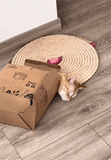 金窝银窝都不如我的破箱子