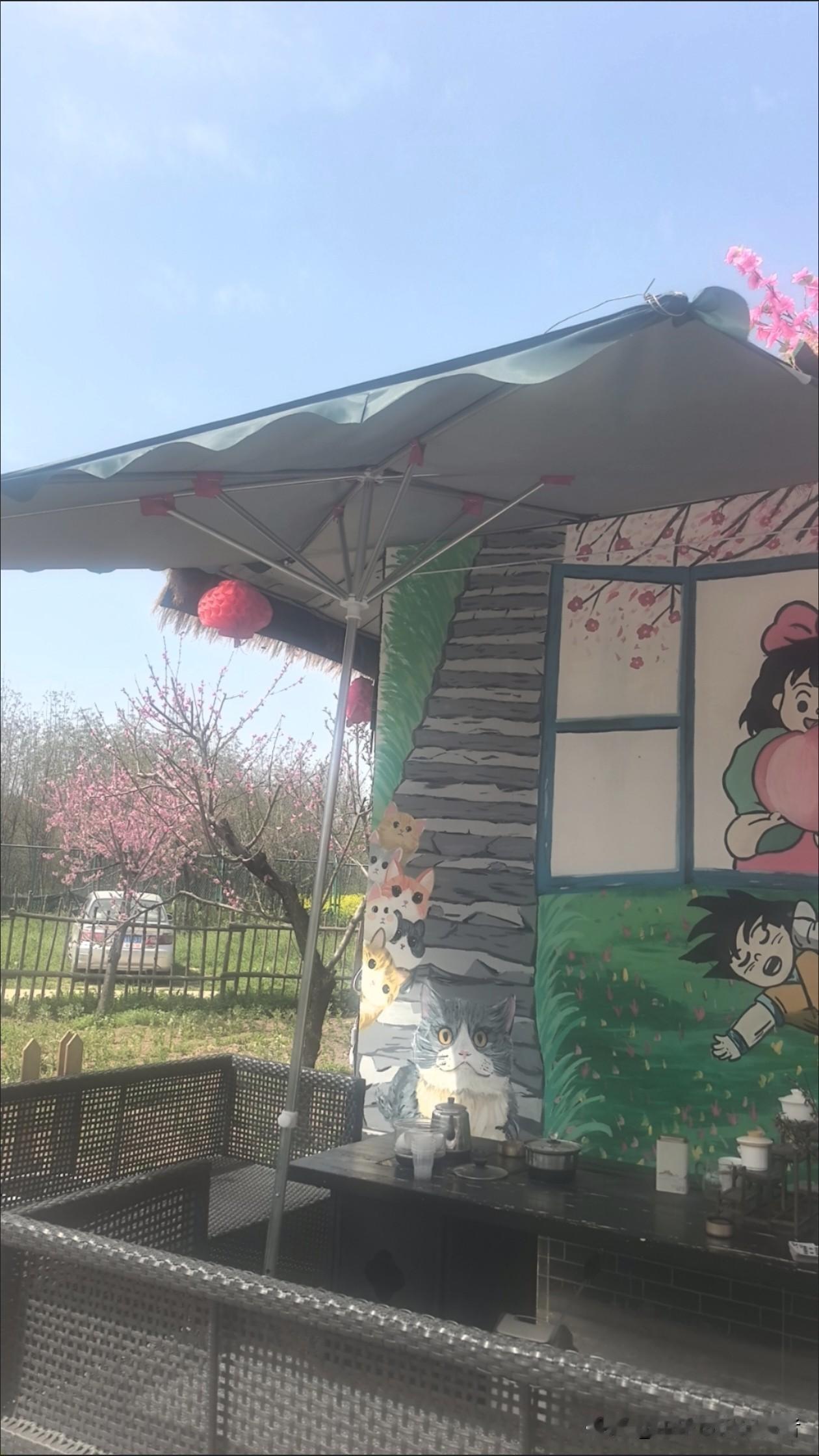 今年春天最想实现的心愿