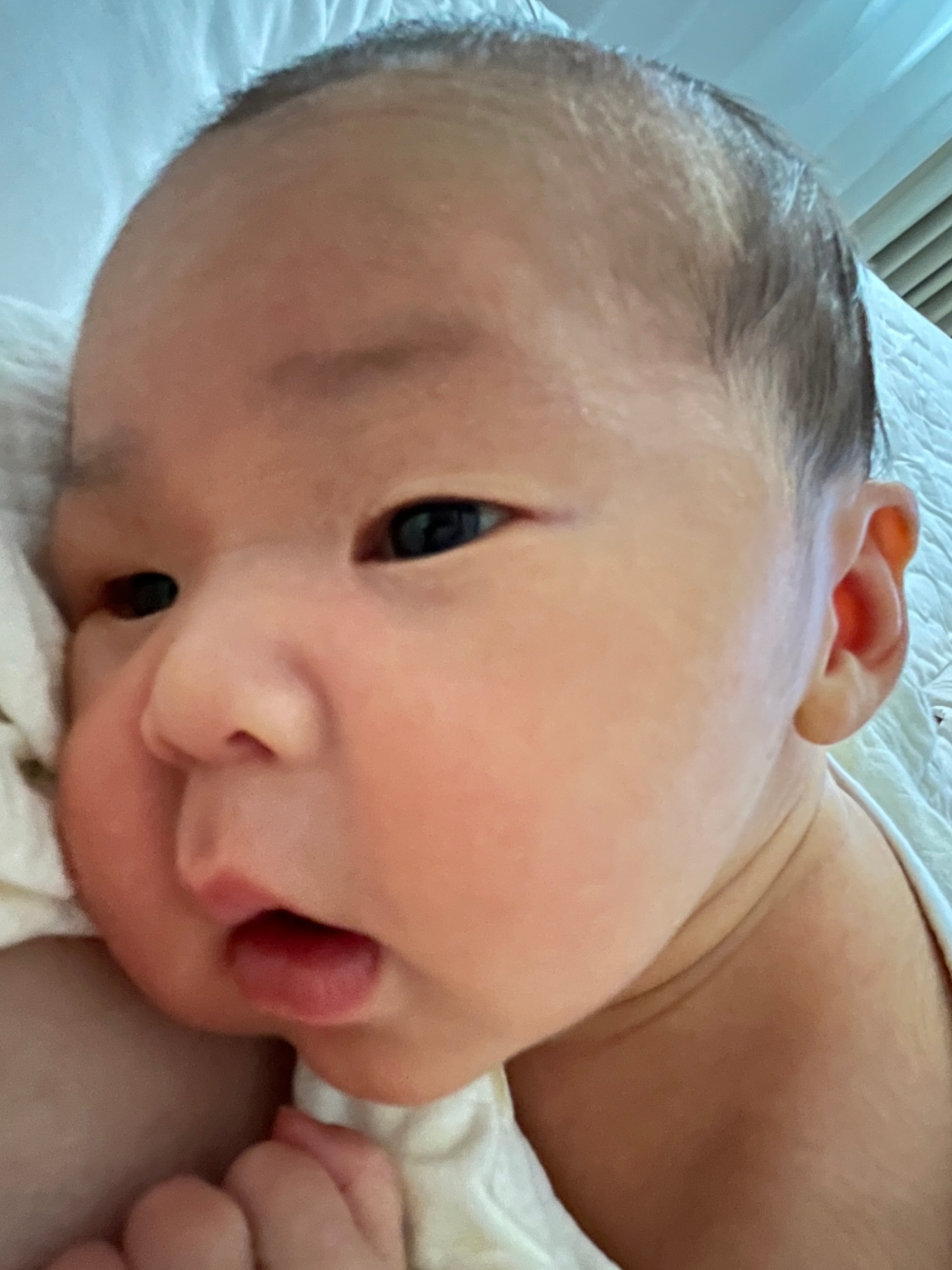 我严重怀疑我生了一个活体表情包出来。同一视角随手拍拍，轻松完成九宫格。出生20天