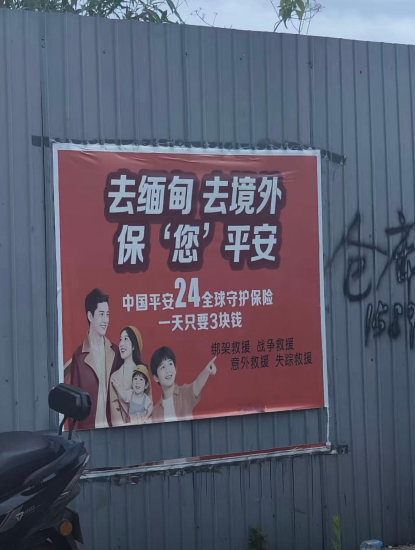 什么新险种 