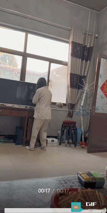 孙女:是亲奶奶不？这样子逗我好吗？
果然姜还是老的辣，不过，这个方法只能用一次，
