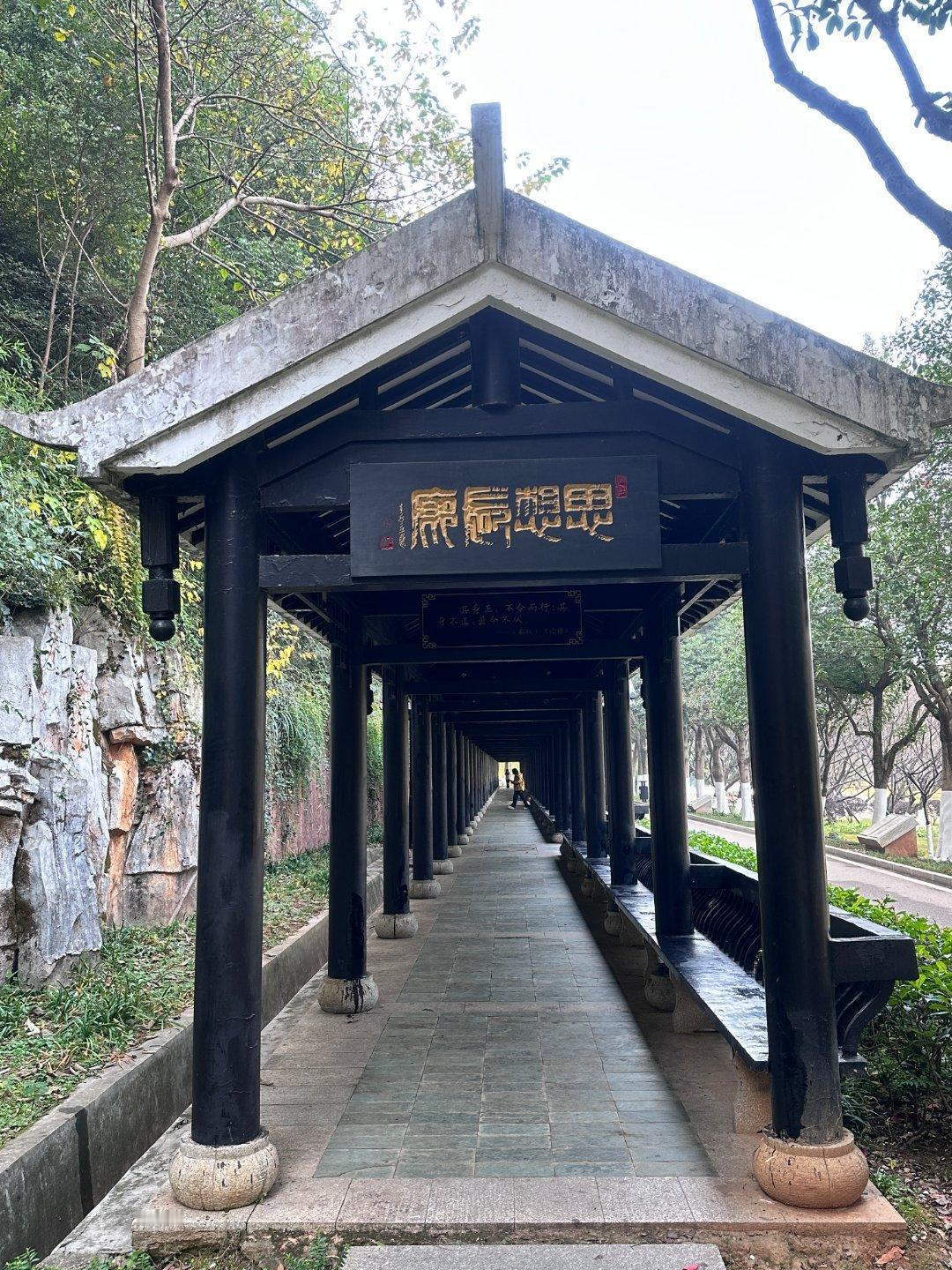 【宜居星沙我想有个家】在星沙生活的第3年，终于懂了什么叫「把日子过成诗」✨上班骑