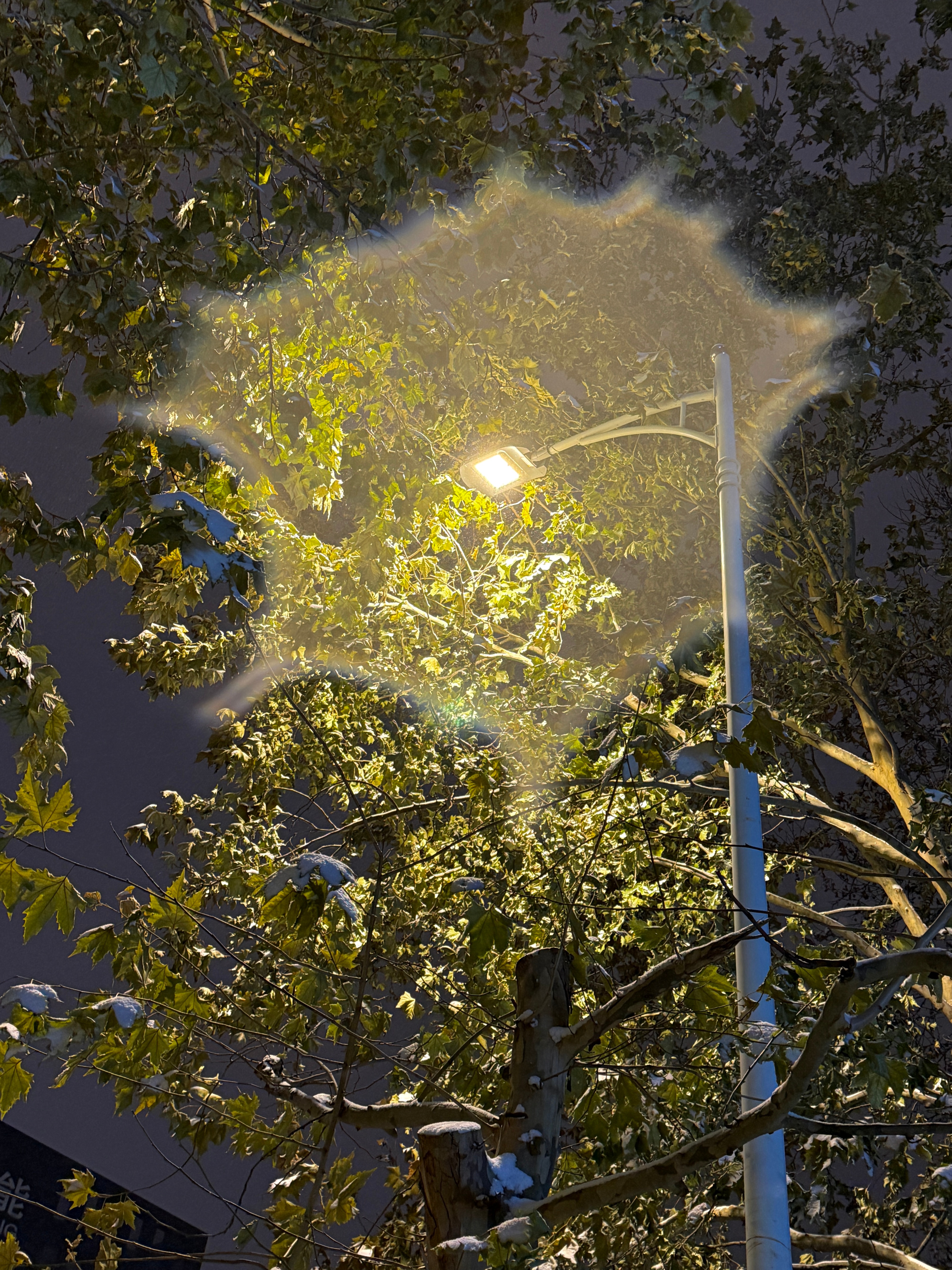 见到北京初雪、贾樟柯和赵涛的一天。在2025年看山河故人里的2025年，十年的日