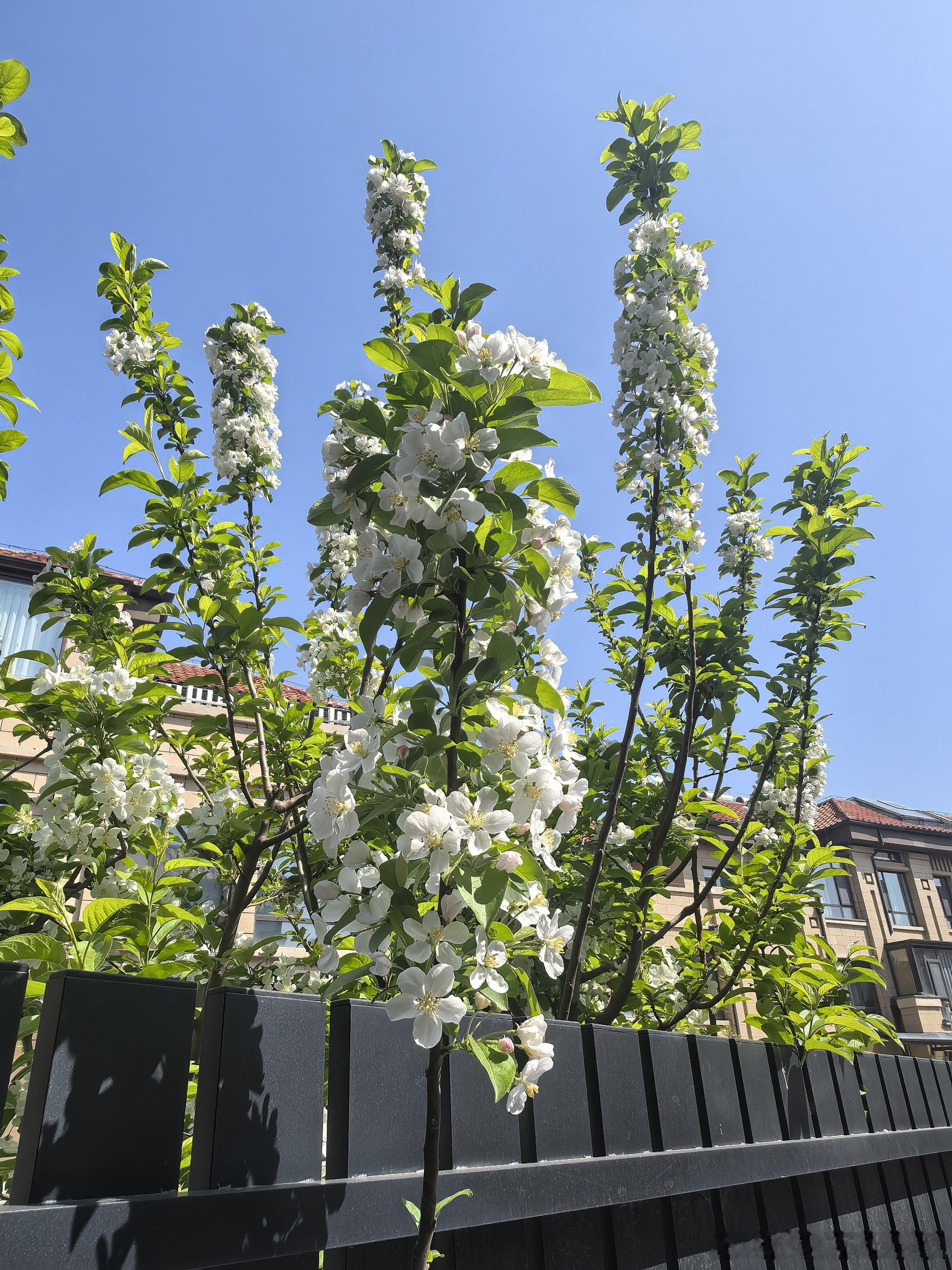 毕竟是春天了，毕竟每个春天都不一样吧 东营