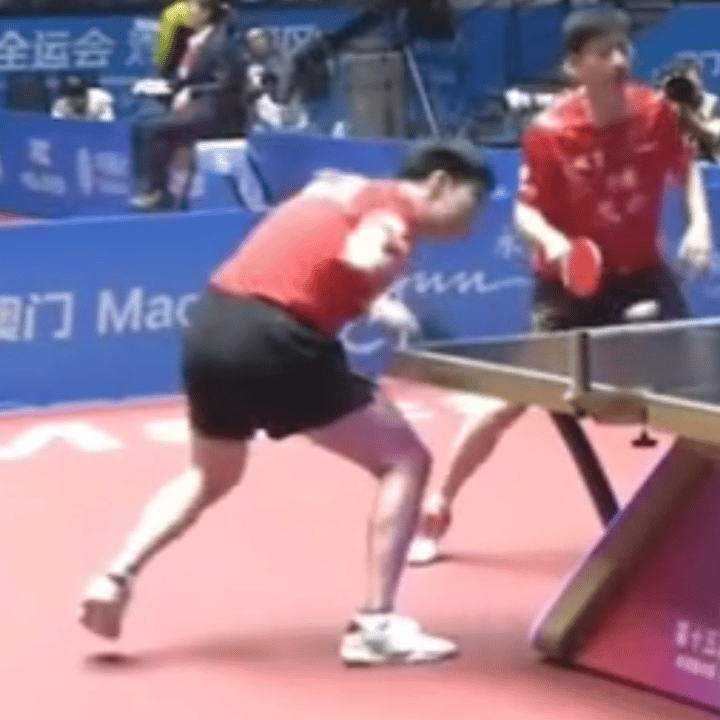 敏捷的小兔子 可爱晕了