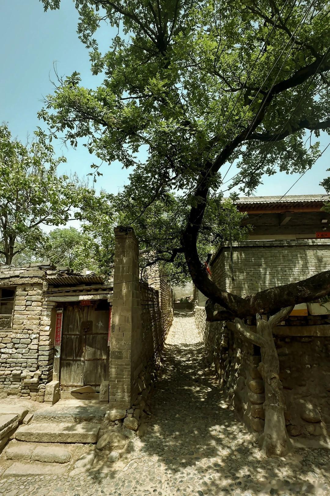 盛夏追光之旅微博旅行ing陕西渭南，这地方简直是“山河故人”的现实版！华山的险峻