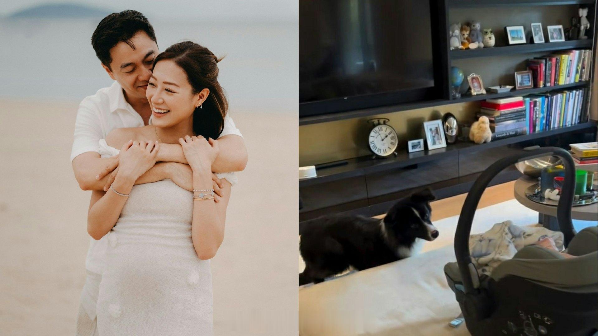 香港01：前港姐季军丁子田宣布诞女 拍片记录爱犬与囡囡相见一刻曝光豪宅现年31岁