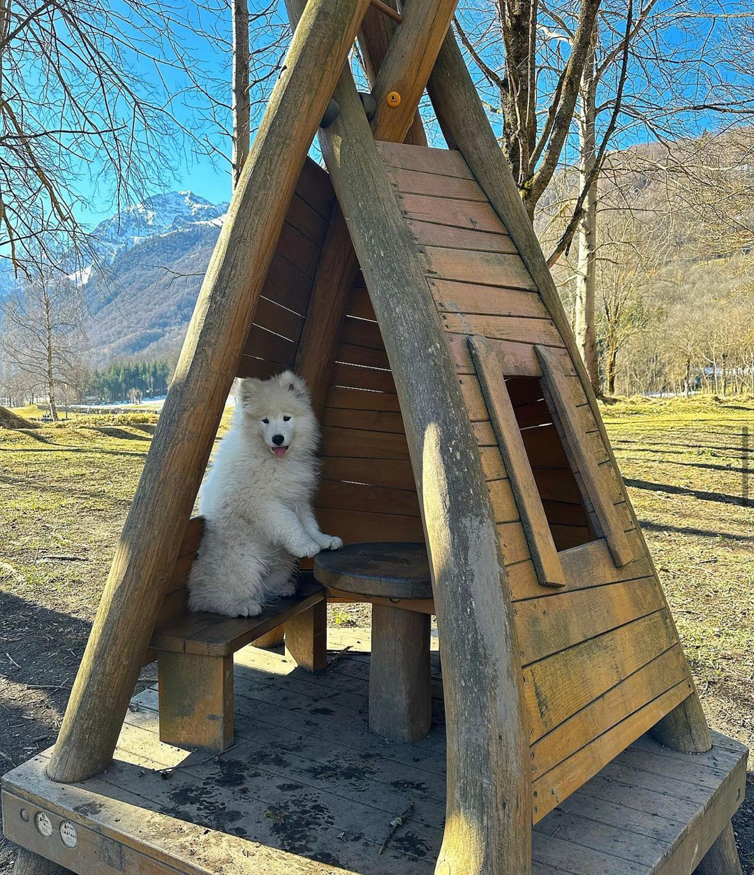 你愿意来我的秘密基地来玩吗，来的话请带好小肉干 