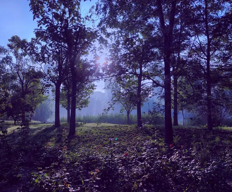 你现在每天能睡够7小时吗 每天能睡够7小时吗？这对我来说简直是奢望。从生理角度讲