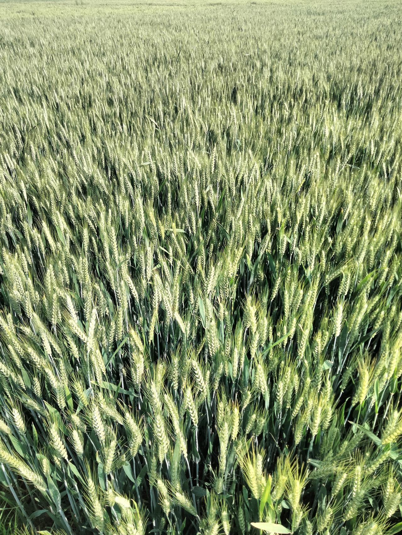 春天慢慢落幕，夏天悄然启程，那些没来得及实现的春日心愿，都在这里静静积蓄力量，等