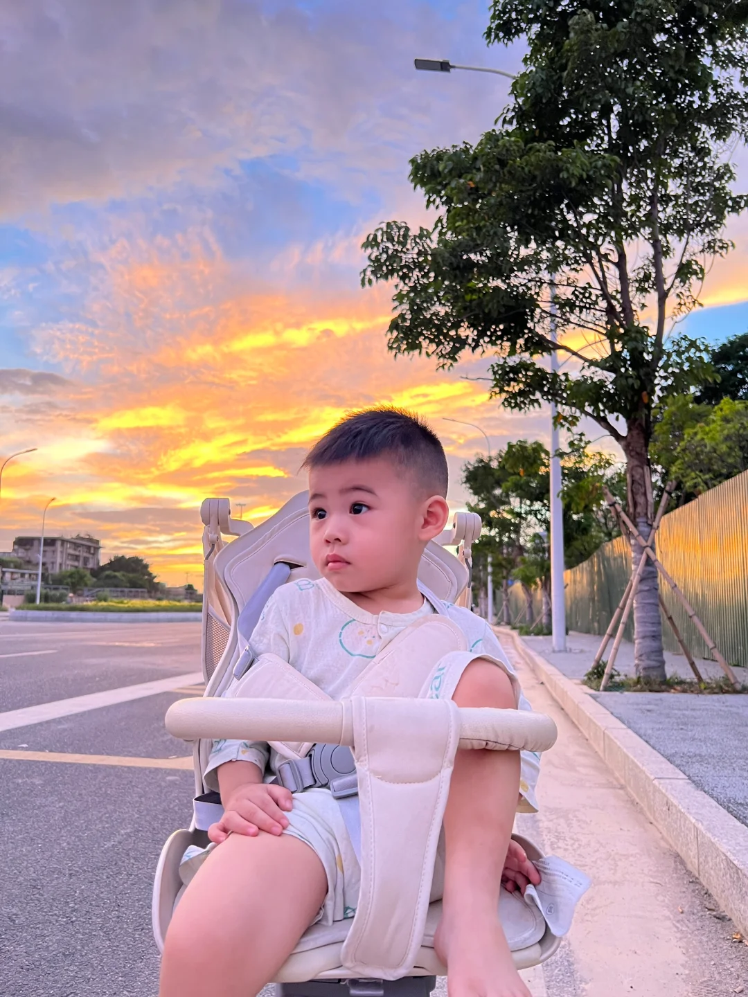 夕阳无限好