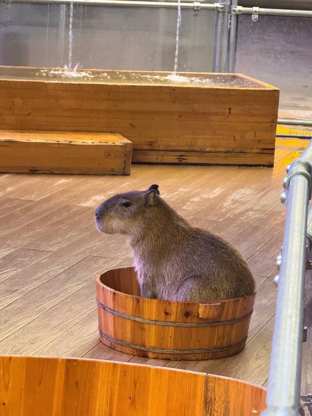 没有20w不要私信我买我的号哈哈哈哈 