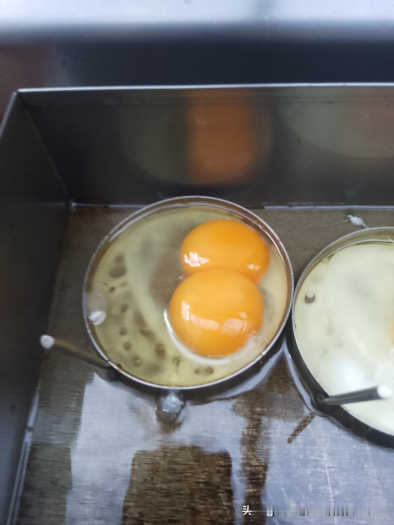 今天又发现一个双黄蛋！这是今年以来发现的第二枚双黄蛋，双黄蛋能孵化两只小鸡吗？会