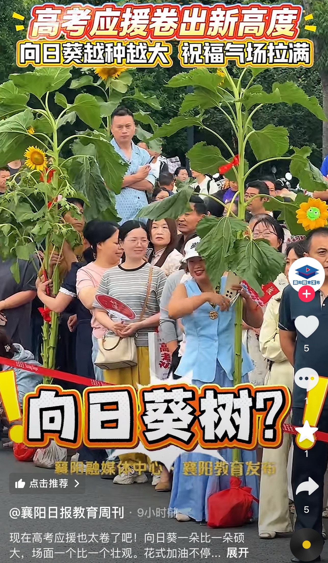 笑死，你们这些向日葵是路边顺的啊？…