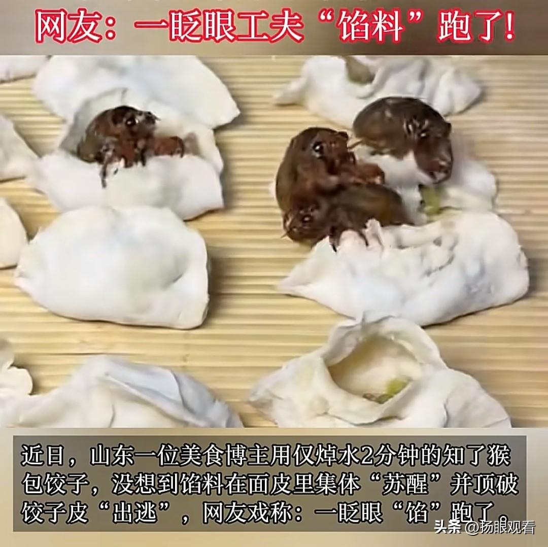 近日，山东烟台一博主用知了猴包饺子， 还没等下锅，饺子馅集体“出逃”。网友：一眨