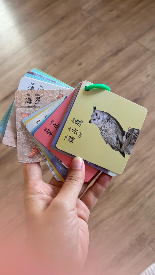1块钱2本的小卡片是1岁娃的最爱