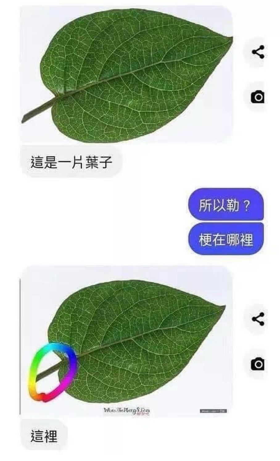 就等你问呢！#meme# ​​​