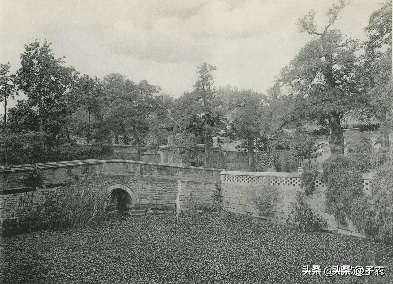 1936年，京西大觉寺。夏季纳凉的幽境。很多古树都在，转眼百年沧桑。图中为功德池