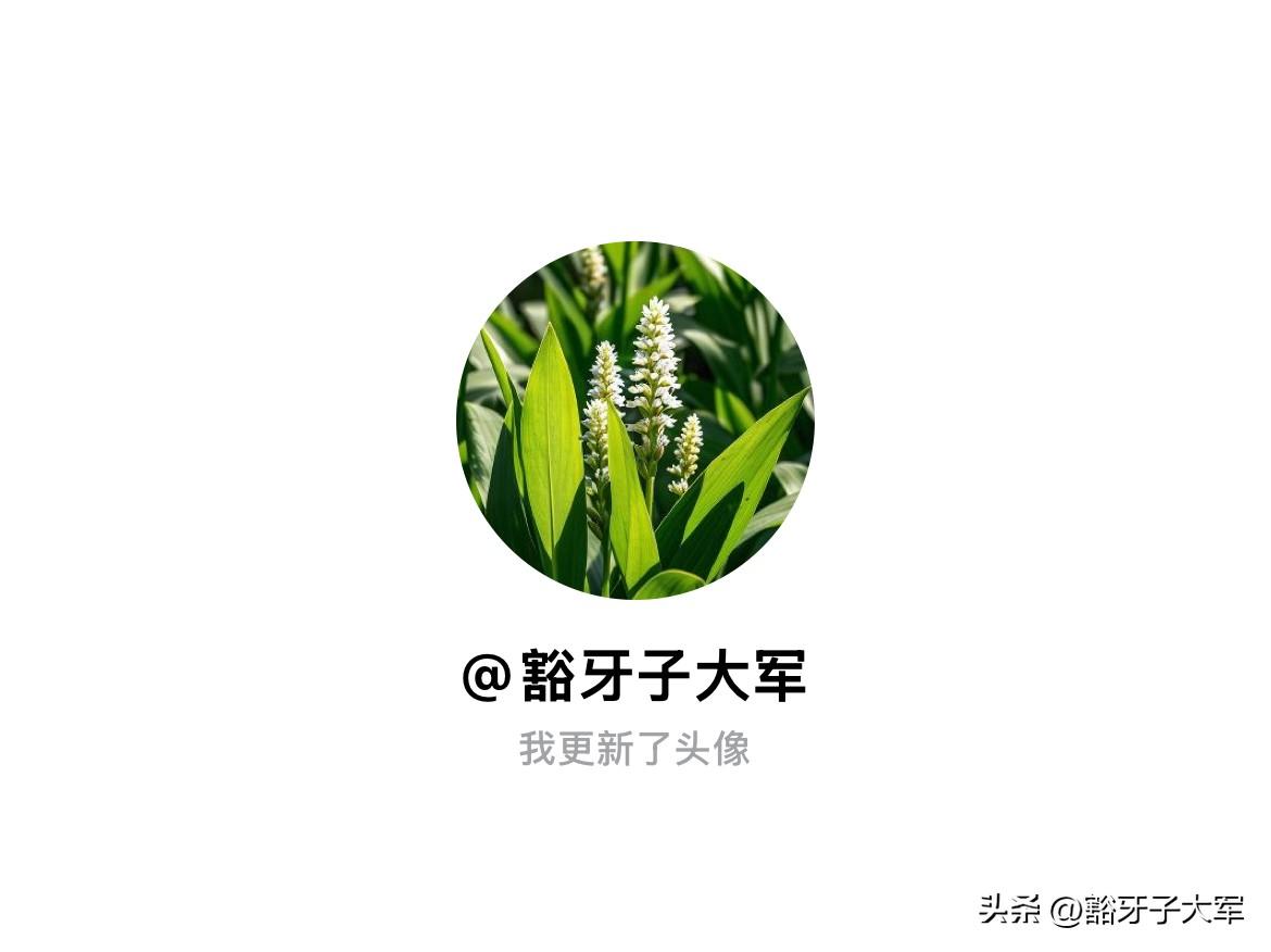 快来看看我新换的头像吧