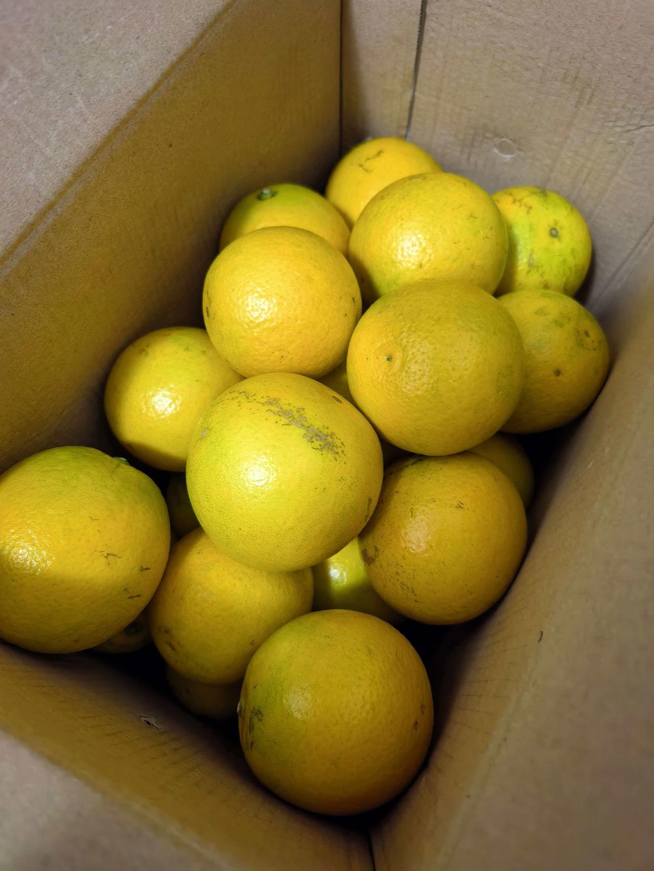 晒图笔记大赛广东的朋友看过来才懂[捂脸][捂脸][捂脸]。广东人的零食之一，红江