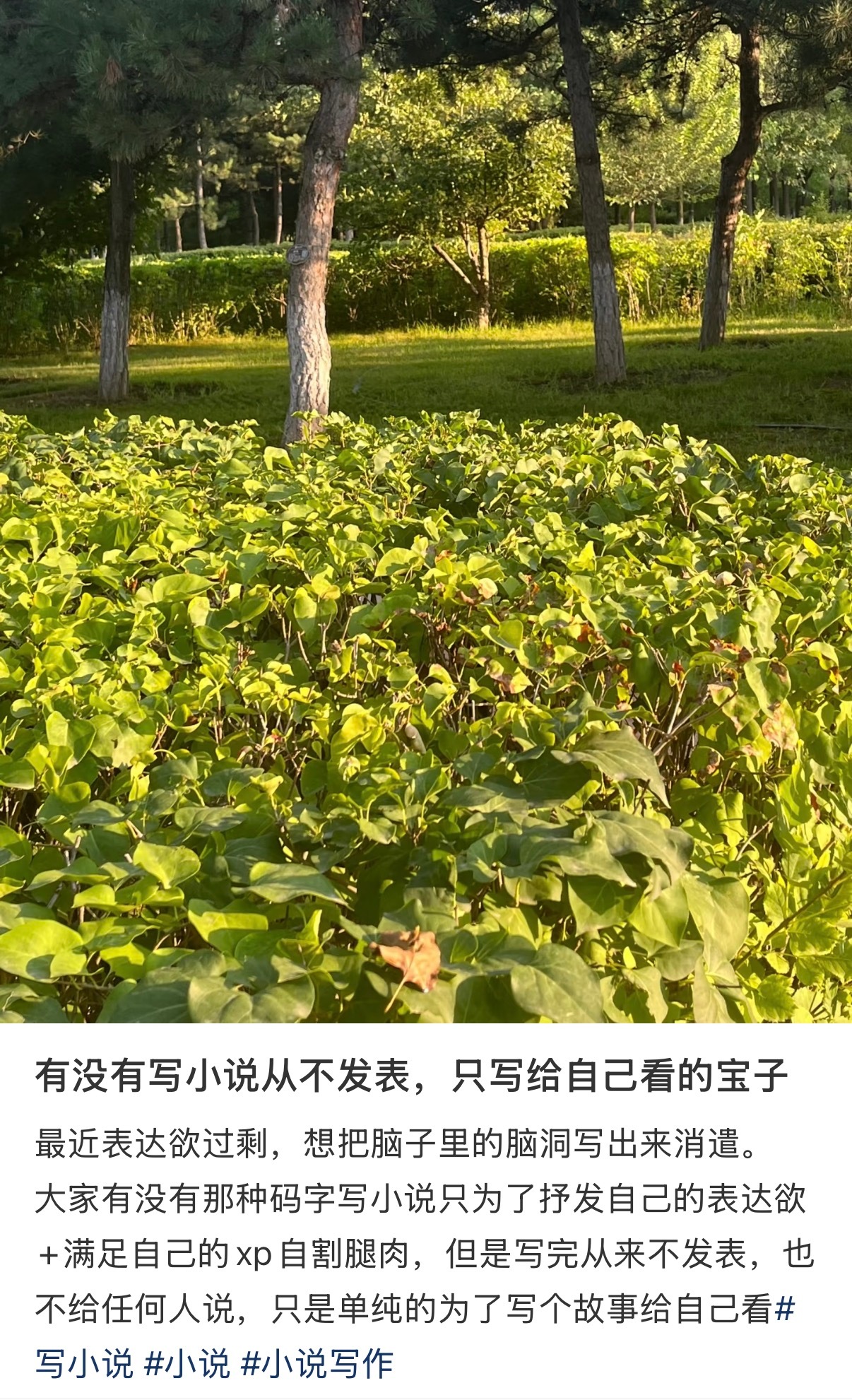 想看啥文自己写离谱到上头快乐上头好有意思 ​​​