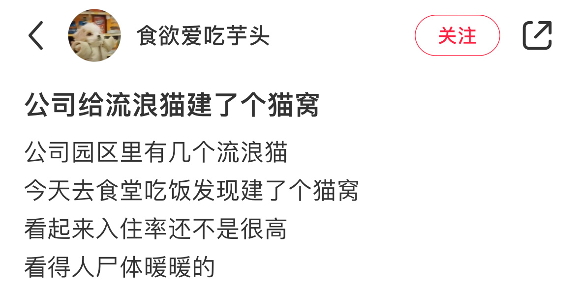 公司给流浪猫建了个猫窝 