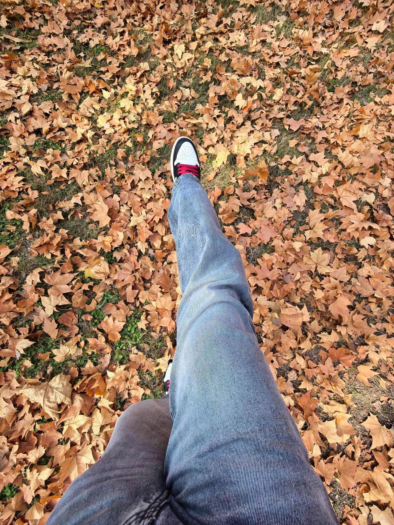 老盐城遗留下来的美好 也仅剩于此了  交换照片 盐城 我们如此热爱盐城 枫叶 梧