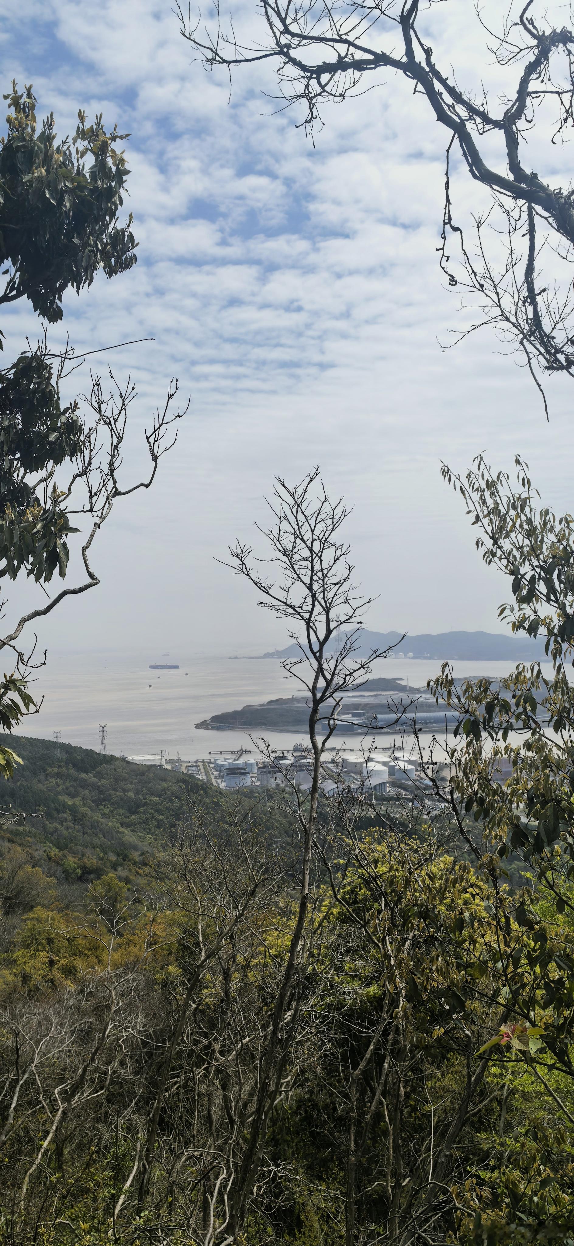 新壁纸  早安！ 