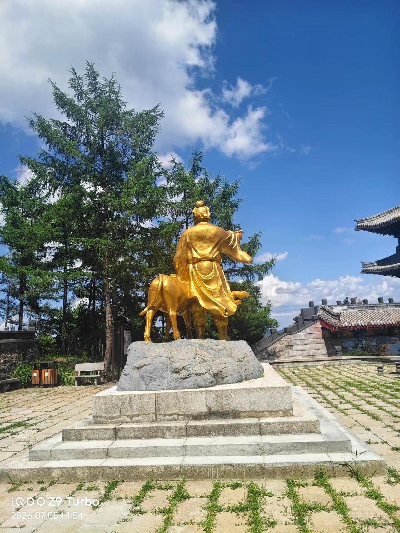 张自山嫌钱扎手