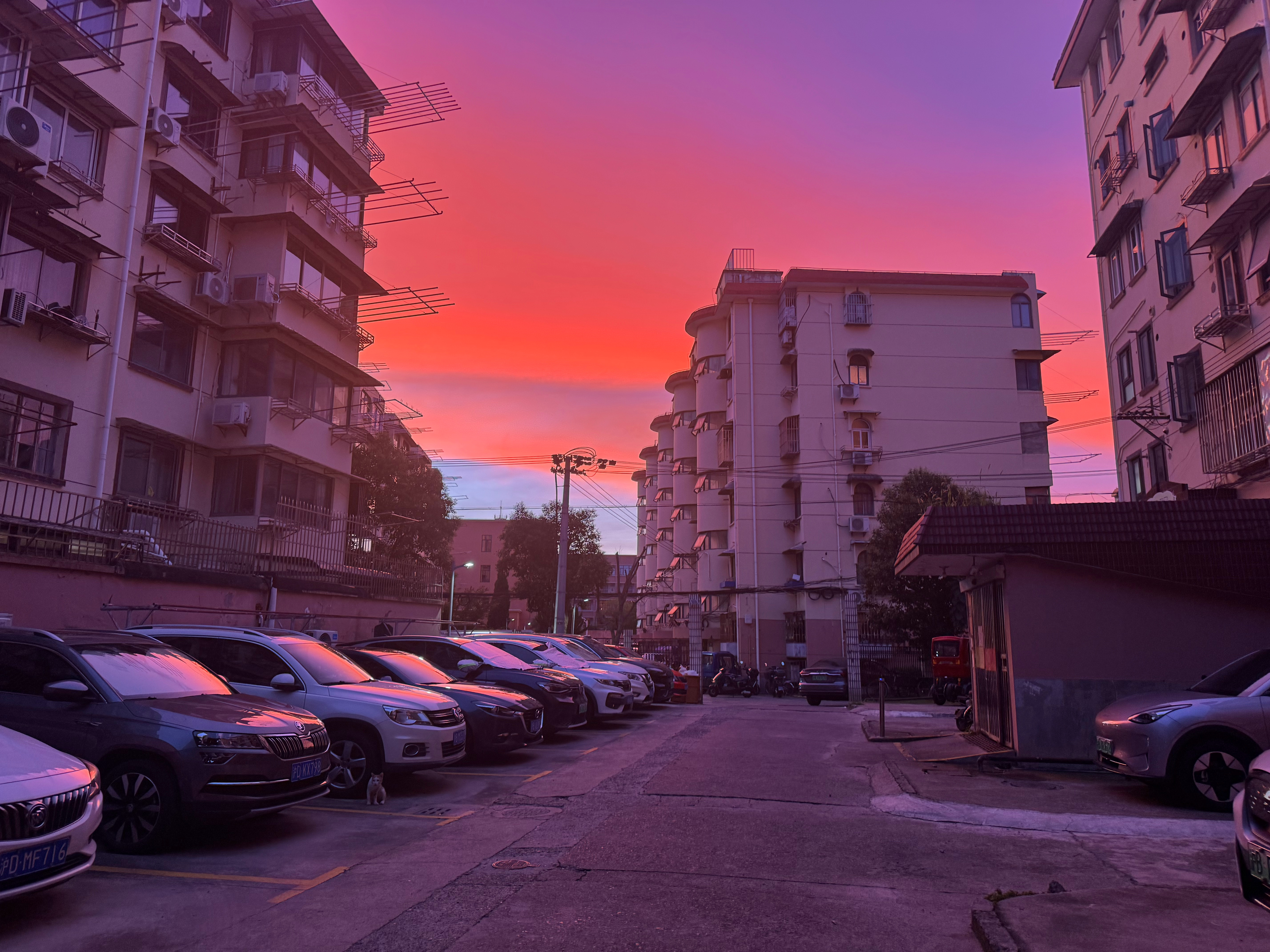 今早凌晨4:45的上海。 送我妈妈去浦东机场天气太热了，我妈去太原玩一圈然后看到