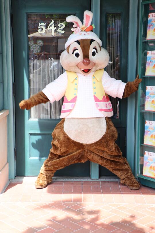 ❤️奇奇蒂蒂小可爱❤️呆萌