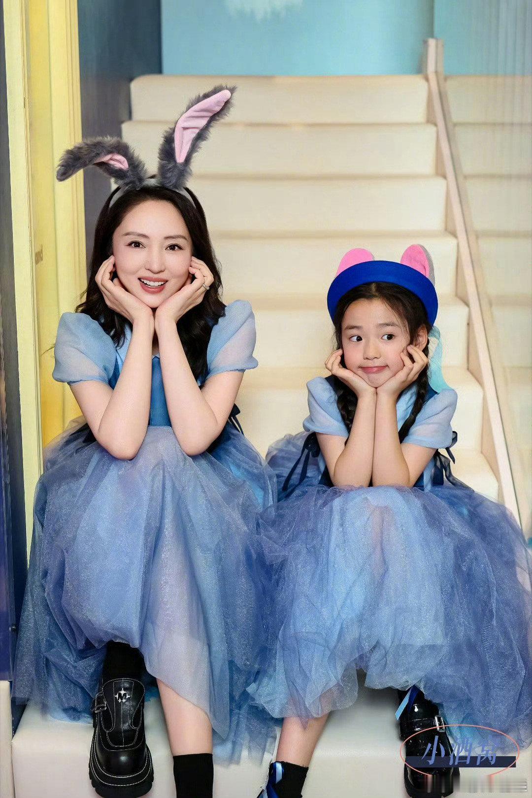 董璇说张维伊哥哥做不了主 