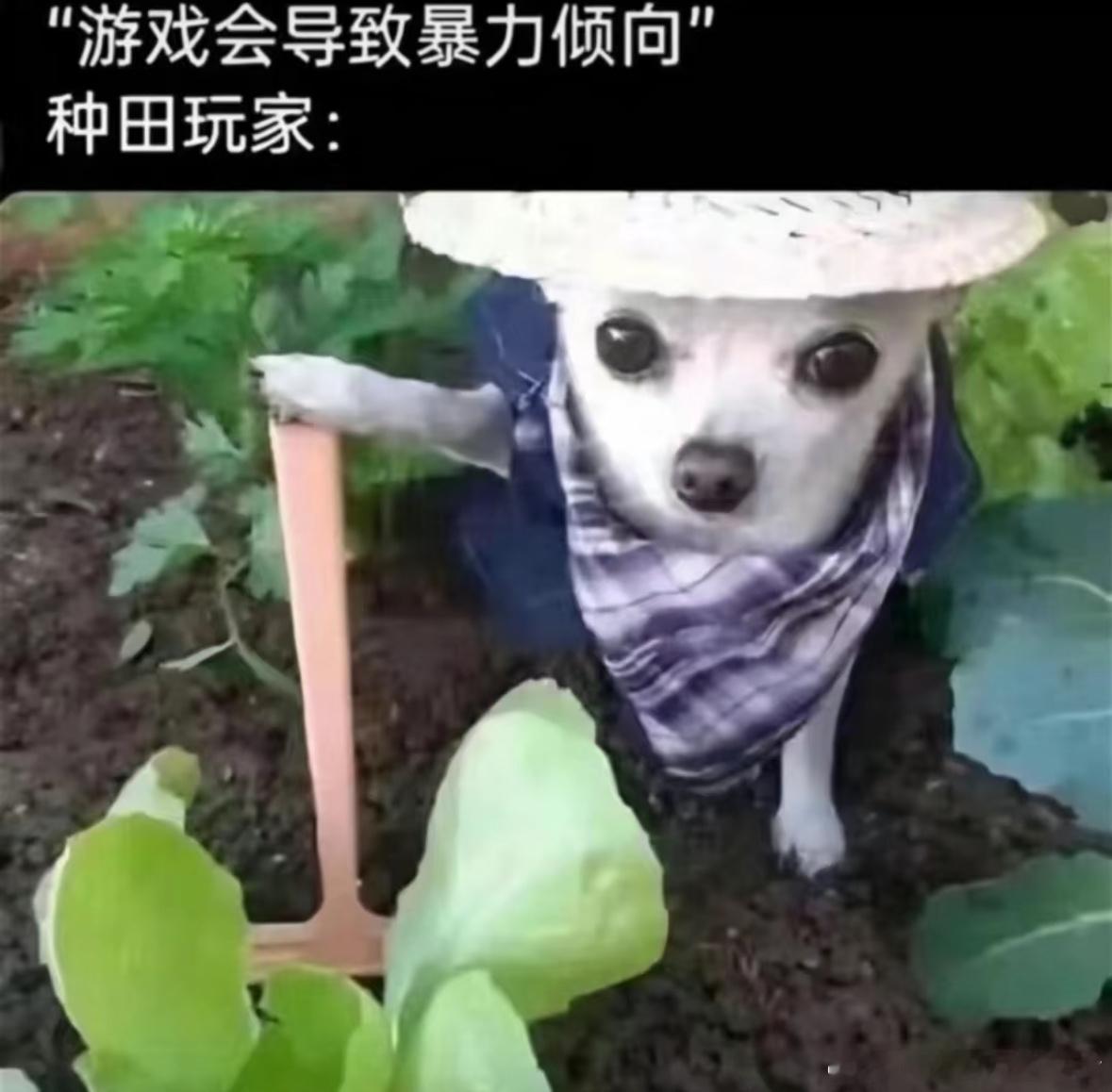 《游戏会导致暴力倾向》 ​​​
