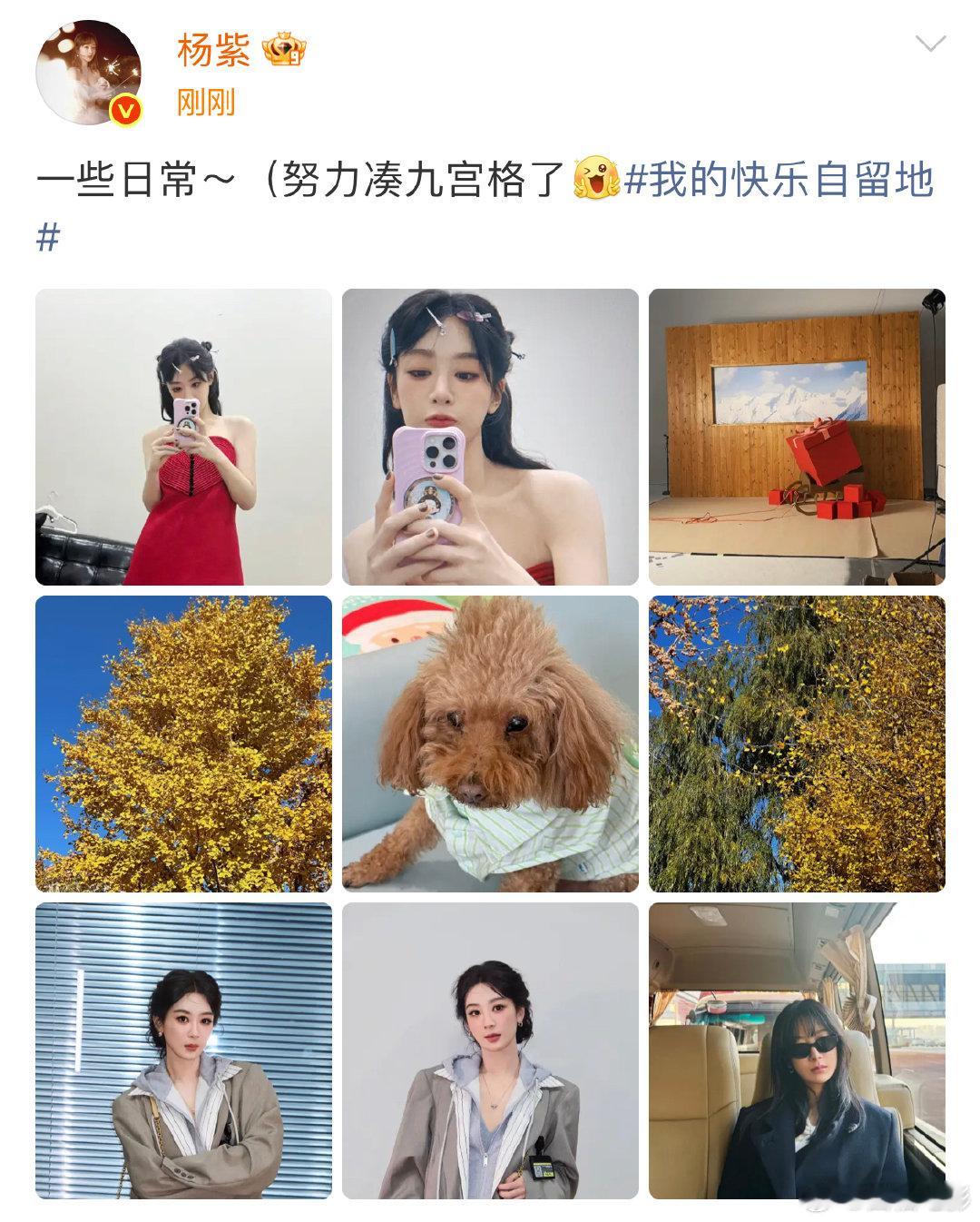 杨紫努力凑九宫格！杨紫晒九宫格日常，并配文:“一些日常～（努力凑九宫格了）” 