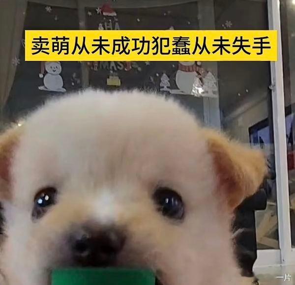 24351【瓦吗】每日一森虚 