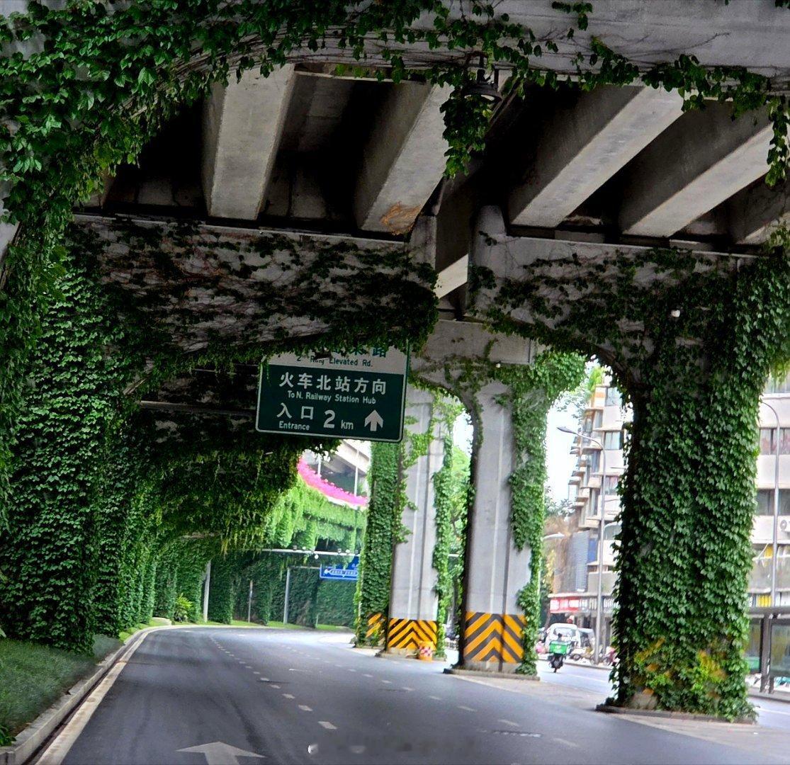公园城市幸福成都这样的成都你确定不来成都街拍爱上成都的1000个理由手机摄影爱好