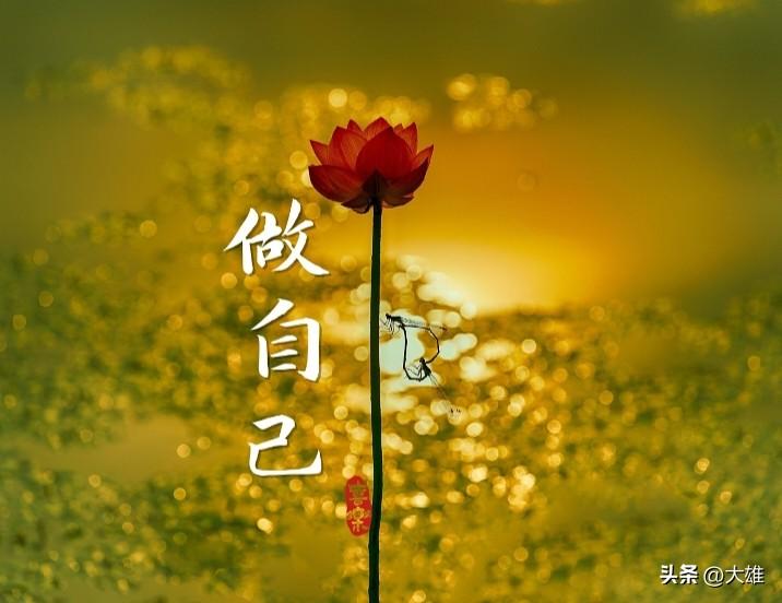 你不优秀，靠谁都没用
 
人生路上，我们总渴望寻一份依靠，总盼有人替我们挡下风雨