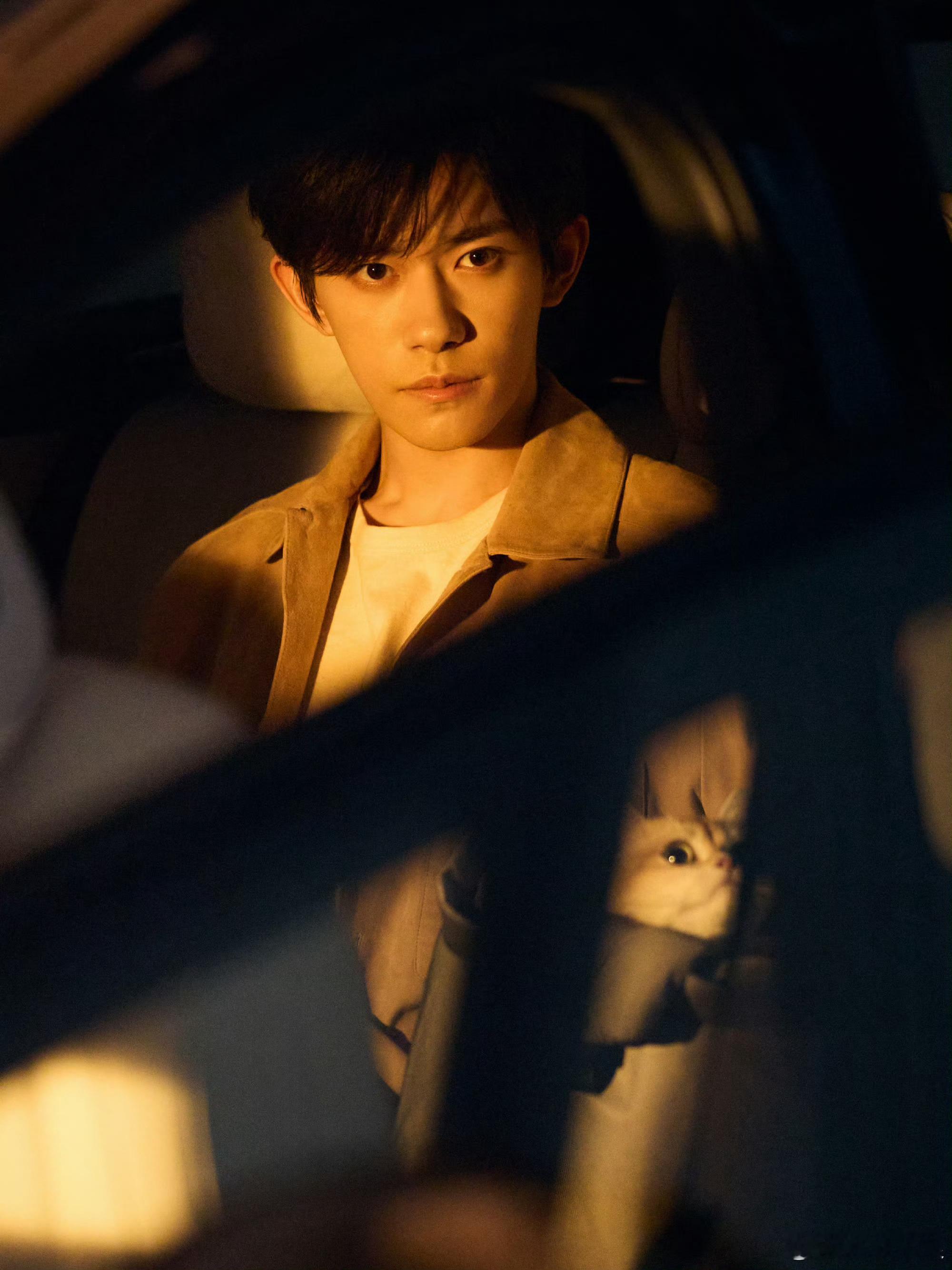 易烊千玺秋日抱猫照易烊千玺沐浴秋日易烊千玺沐浴秋日，抱小猫，[舔屏][舔屏] ​