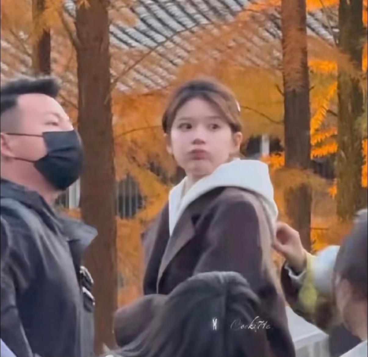 如何通过小细节改变外貌1、用舌头来回刷上排的牙齿，不出一个月！！可以让下巴像ba