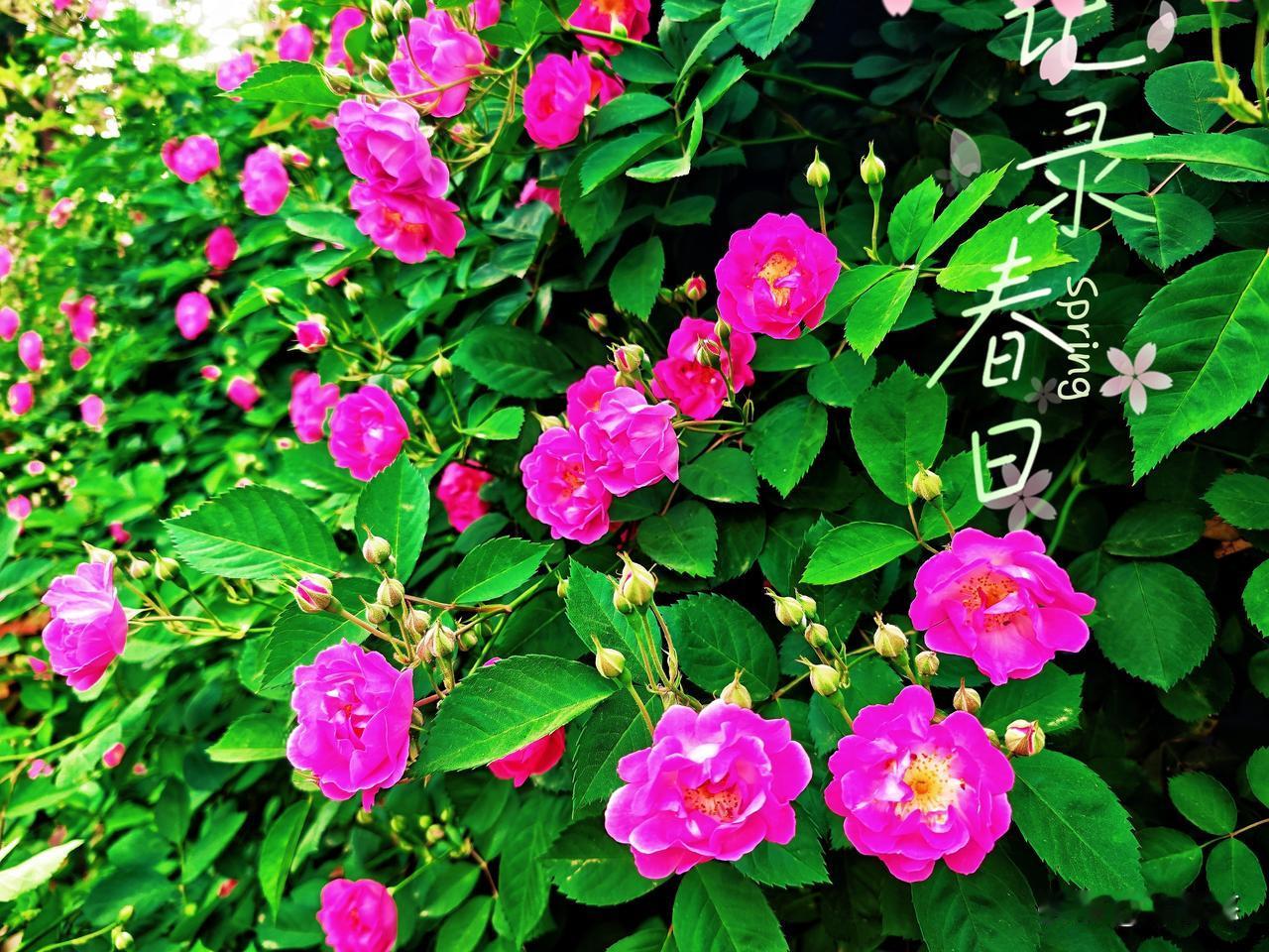 完了，我感觉我原生家庭真的太有问题了！
每次跟我妈说话都很容易发火，就是我们家，