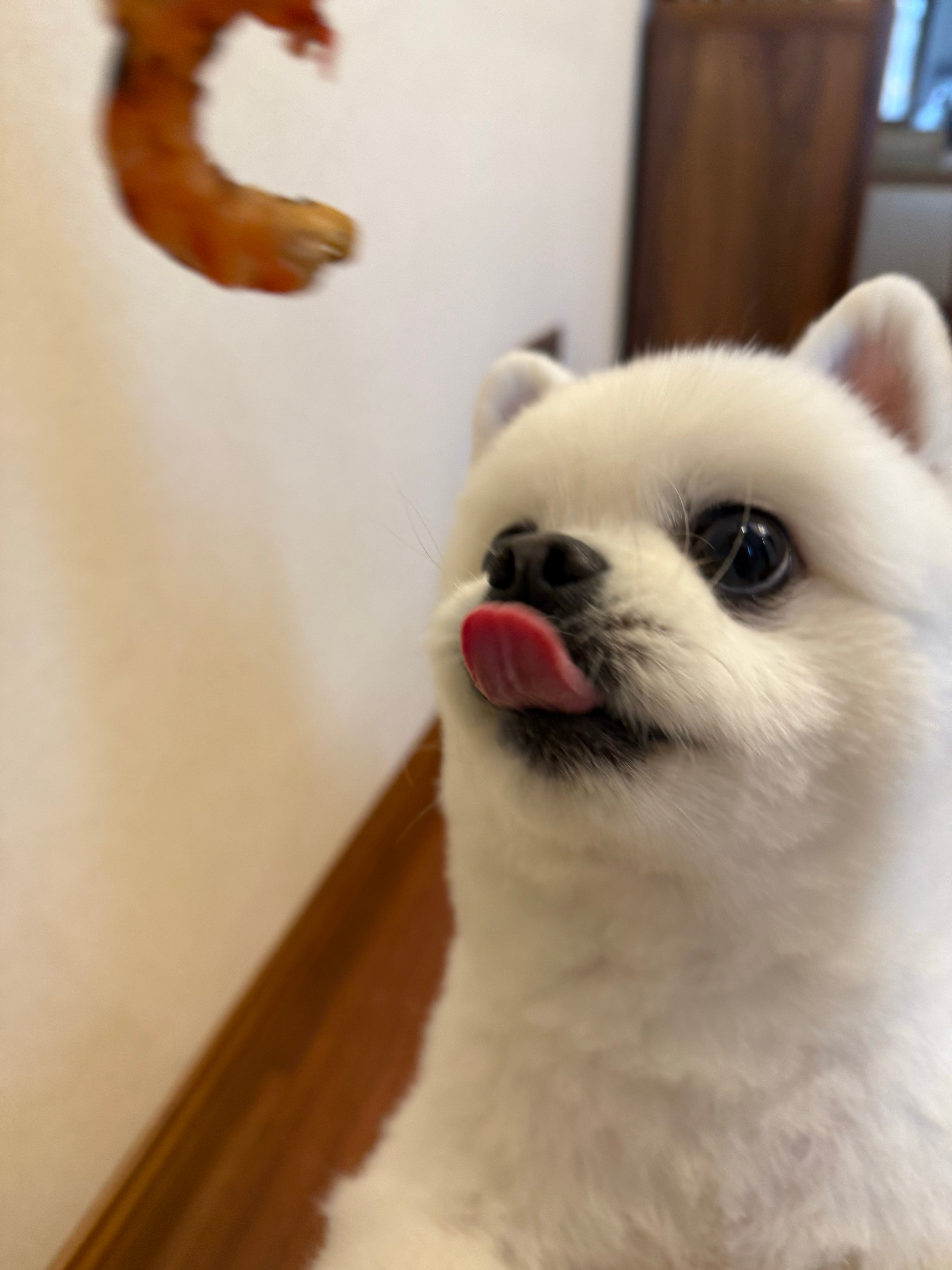 农历新年前的最后一波日常[哇]（p18的kfc汤咖喱鸡真的答应我一定要去试试好吗