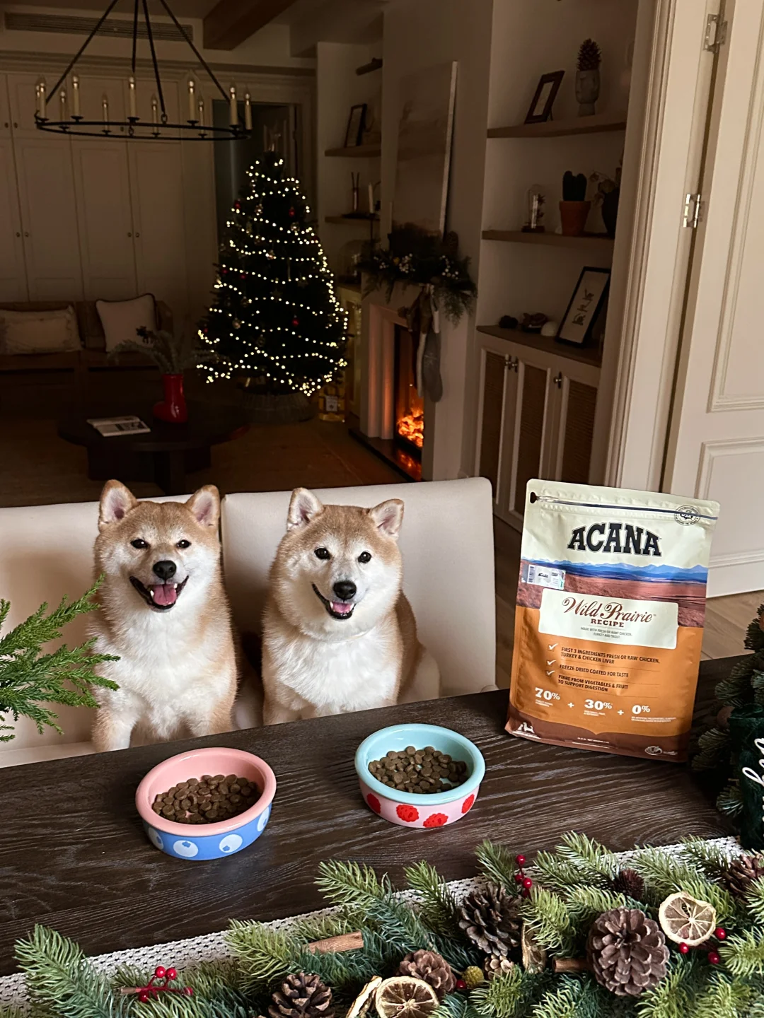 宝宝 和我一起过圣诞吗~🎄