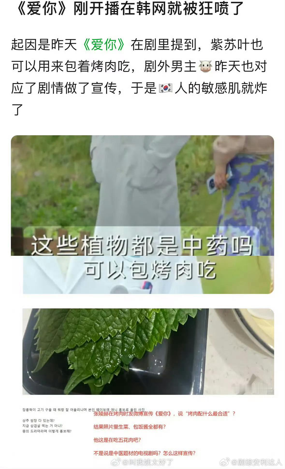 小韩又破防了就因为爱你里科普了紫苏叶是中药，还可以用来烤肉吃，结果韩网就炸了，说