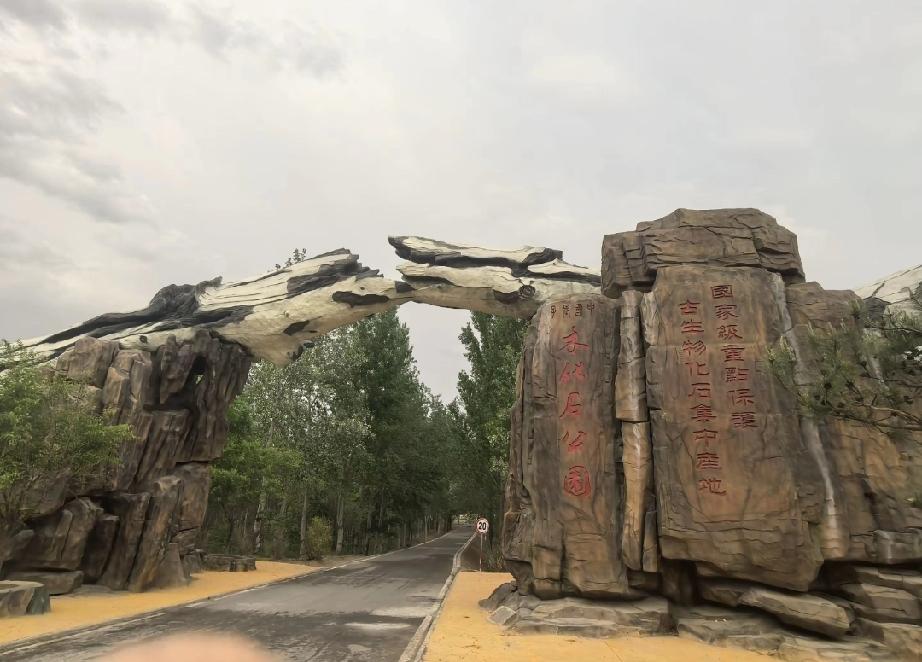 2.9亿年
“石中巨树”！
山西工地挖出
国家一级保护木化石，
见证史前雨林密码