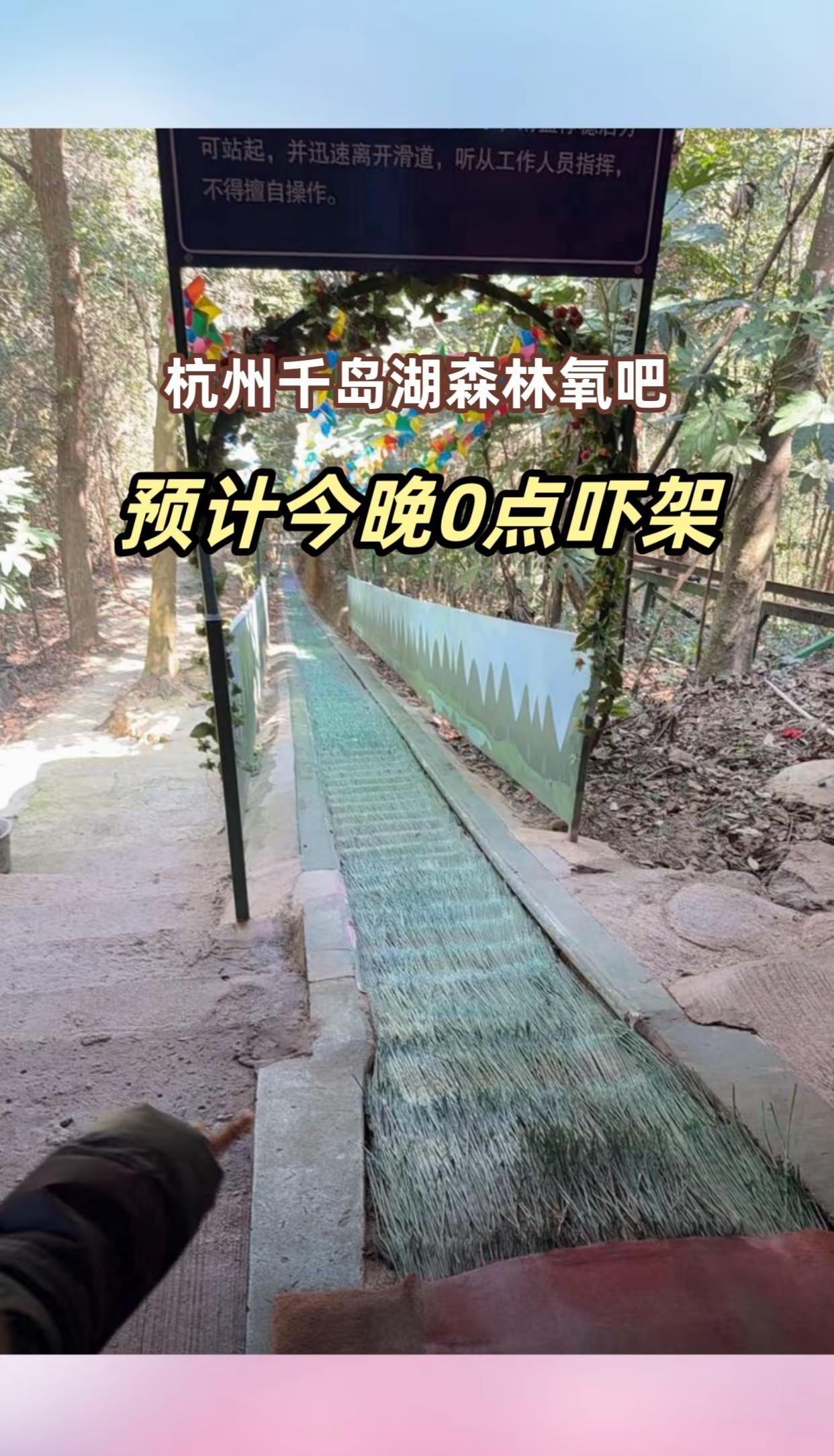 杭州千岛湖森林氧吧 杭州千岛湖 旅行攻略 城市周边游 森林氧吧