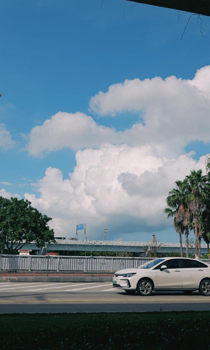 【厦门已经到了最佳赏玩期】盛夏厦门藏着多层次城市风光。公园里荷叶满塘，临水小屋掩
