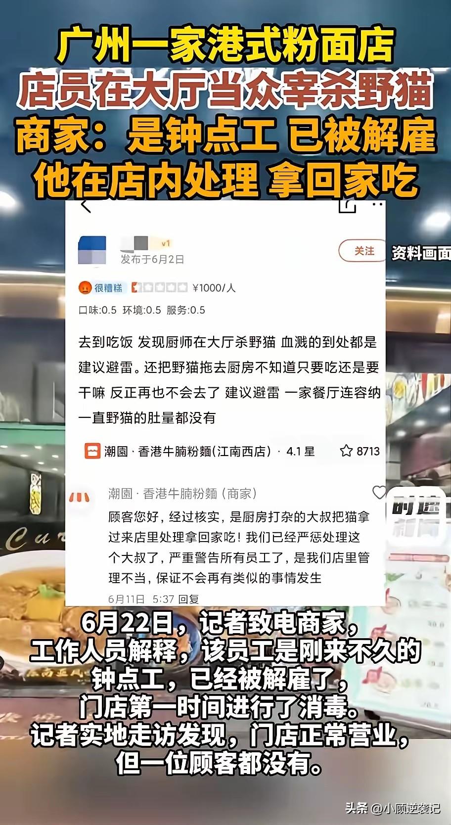 广州市海珠区江南西路一餐厅被曝当众宰杀野猫，食客吃饭时看到餐厅工作人员把一只野猫