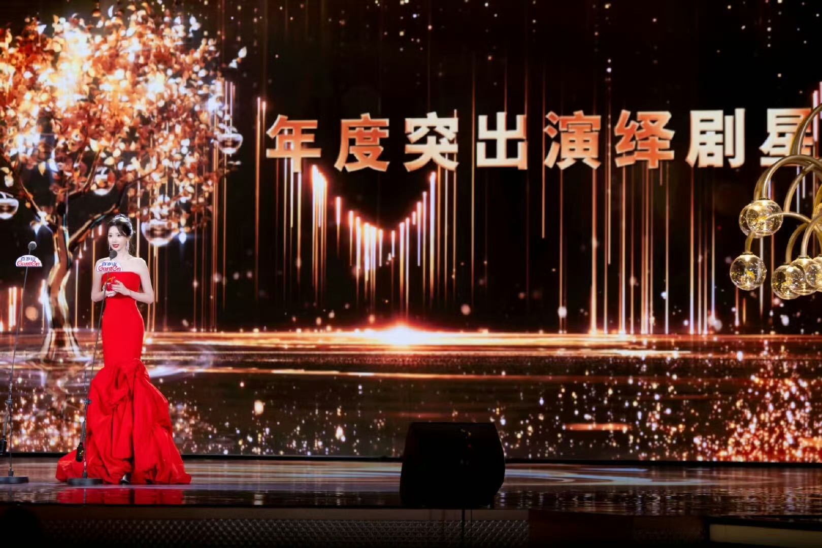 毛晓彤剧里的大公主剧外的真女王从古灵精怪的北齐大公主到实力斩获品质盛典大奖，用十